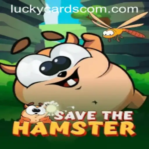 SavetheHamster: The Exciting World of LUCKY CARDS